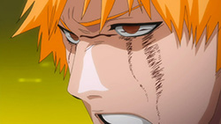 Bleach - 356 | Random Curiosity